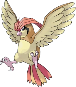 Pidgeotto