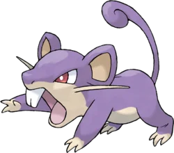 Rattata