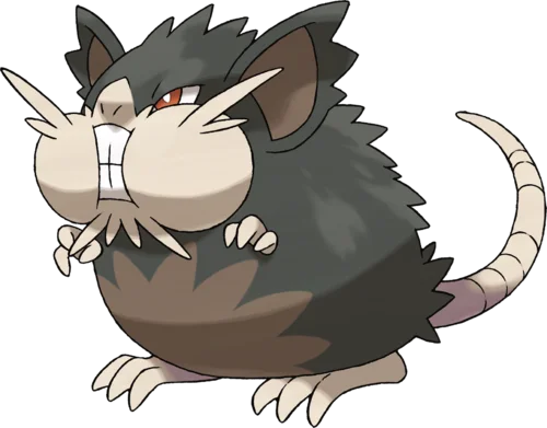 Raticate - Alola
