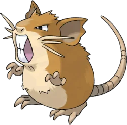 Raticate