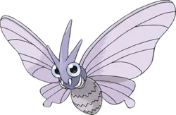 Venomoth