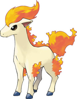 Ponyta