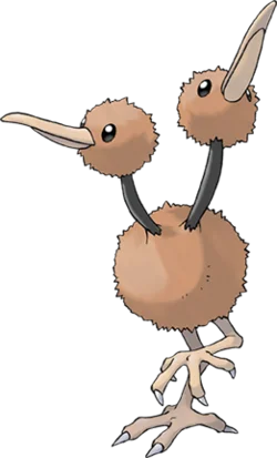 Doduo