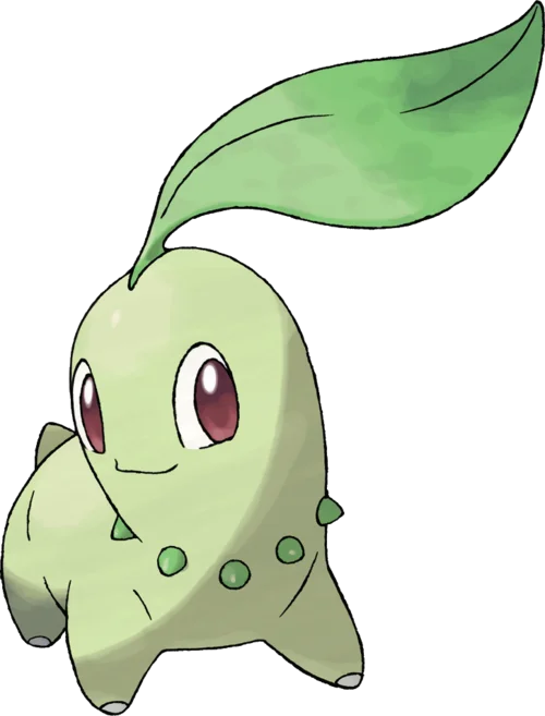 Chikorita