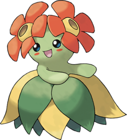 Joliflor