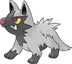 Poochyena