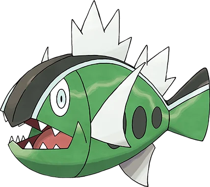 野蠻鱸魚 - 白條紋的樣子