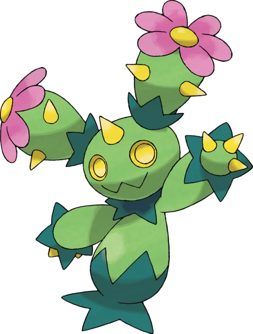 Maractus