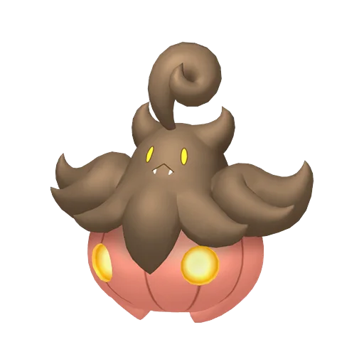 Pumpkaboo - Average Size