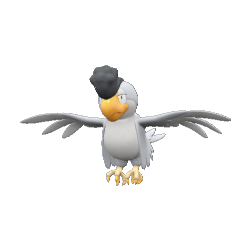 Tapatoès - Plumage Blanc