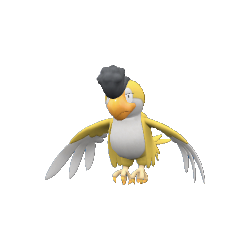 Tapatoès - Plumage Jaune